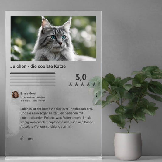 Internet Bewertung  Acrylglas Katze personalisierbar mit Foto & Text
