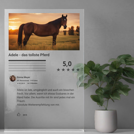 Internet Bewertung  Acrylglas Pferd personalisierbar mit Foto & Text