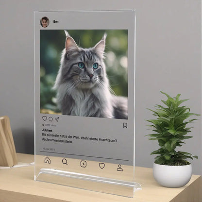 Instagram Post Katze auf Acryl zum selbst Gestalten Geschenk Palast