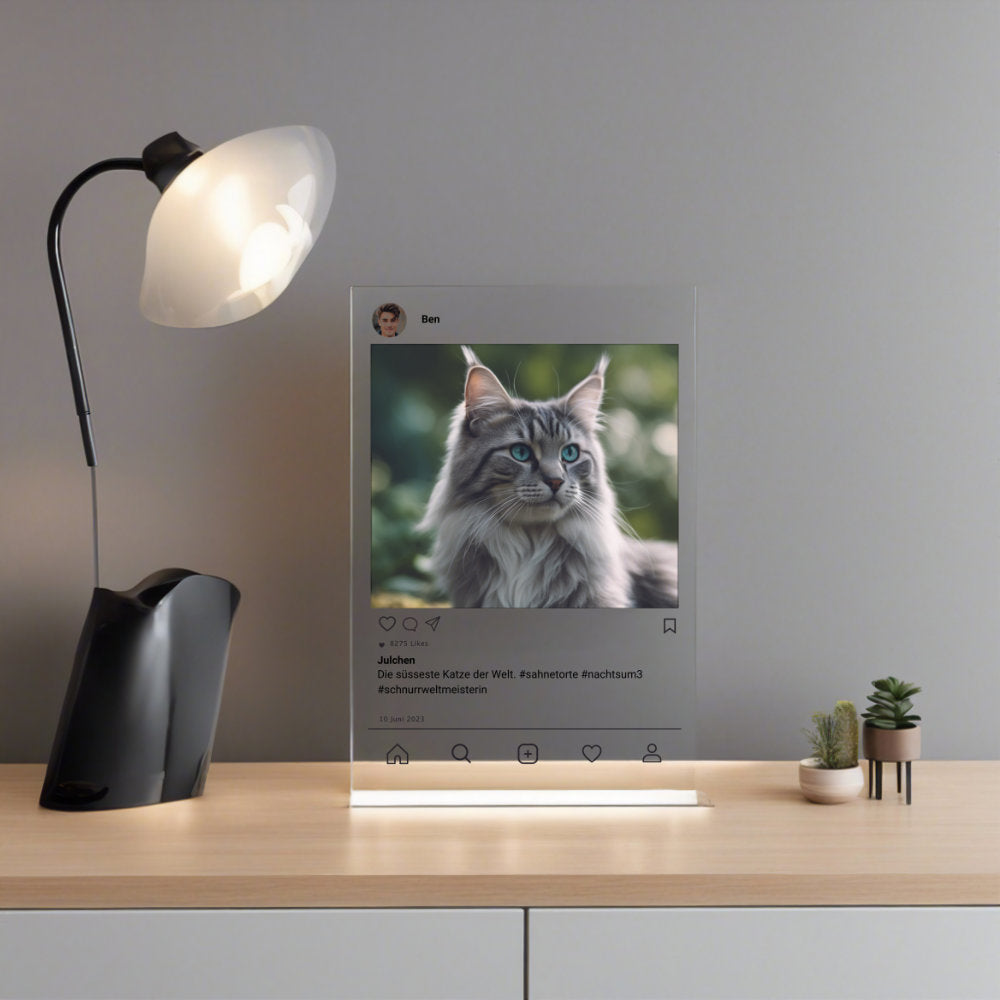 Instagram Post Katze auf Acryl zum selbst Gestalten Geschenk Palast