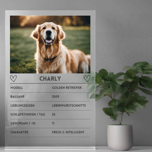 Quartettkarte Acrylglas Spaßkarte Hund personalisierbar mit Foto & Text