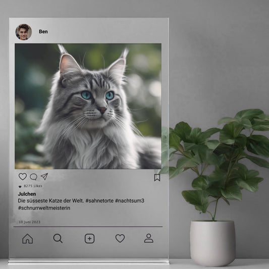 Social Media Post Acrylglas Katze personalisierbar mit Foto & Text